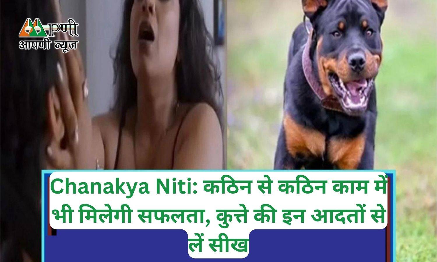 Chanakya Niti: कठिन से कठिन काम में भी मिलेगी सफलता, कुत्ते की इन आदतों से लें सीख