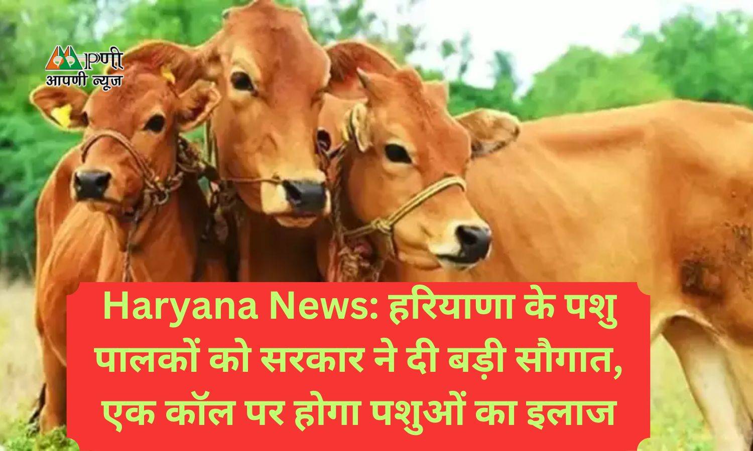 Haryana News: हरियाणा के पशु पालकों को सरकार ने दी बड़ी सौगात, एक कॉल पर होगा पशुओं का इलाज