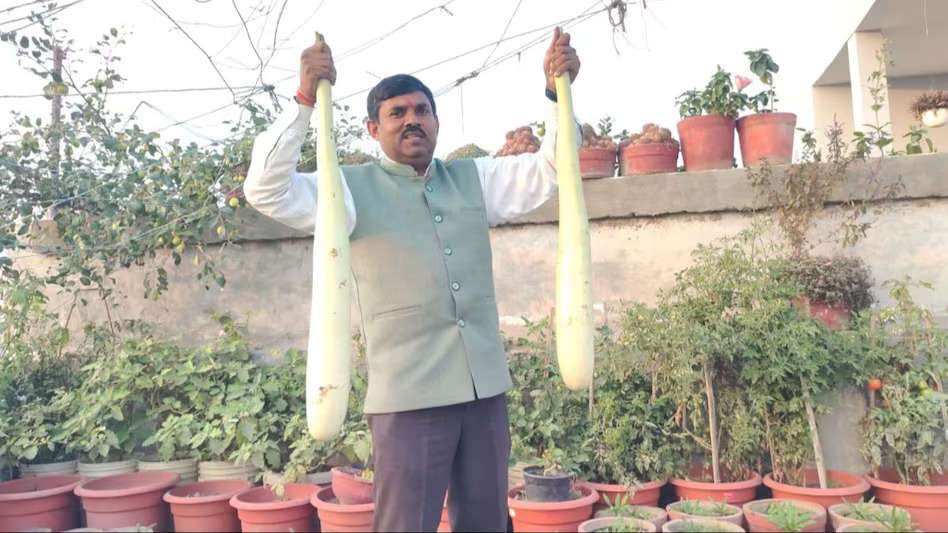 Farming: घर की छत पर खेती कर लाखों का मुनाफा कमा रहा है ये शख्स, ट्रेनिंग लेने विदेश से भी आते हैं लोग