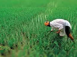 Farming: समर्थन मूल्य पर गेहूं खरीदी के लिए किसानों को मिलेगी ये सुविधा, आज ही करें रजिस्ट्रेशन