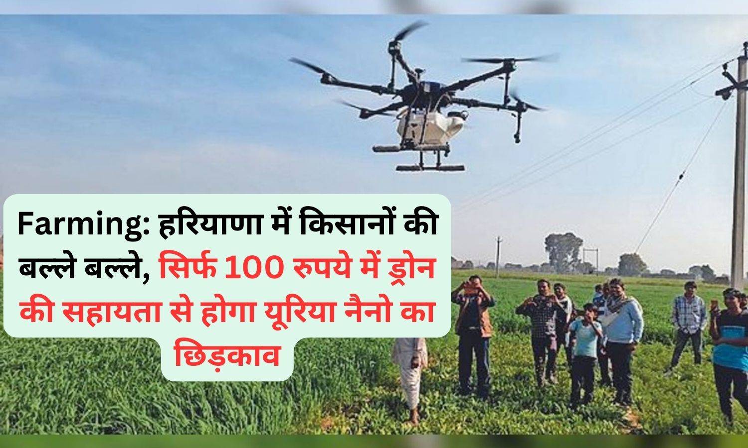 Farming: हरियाणा में किसानों की बल्ले बल्ले, सिर्फ 100 रुपये में ड्रोन की सहायता से होगा यूरिया नैनो का छिड़काव