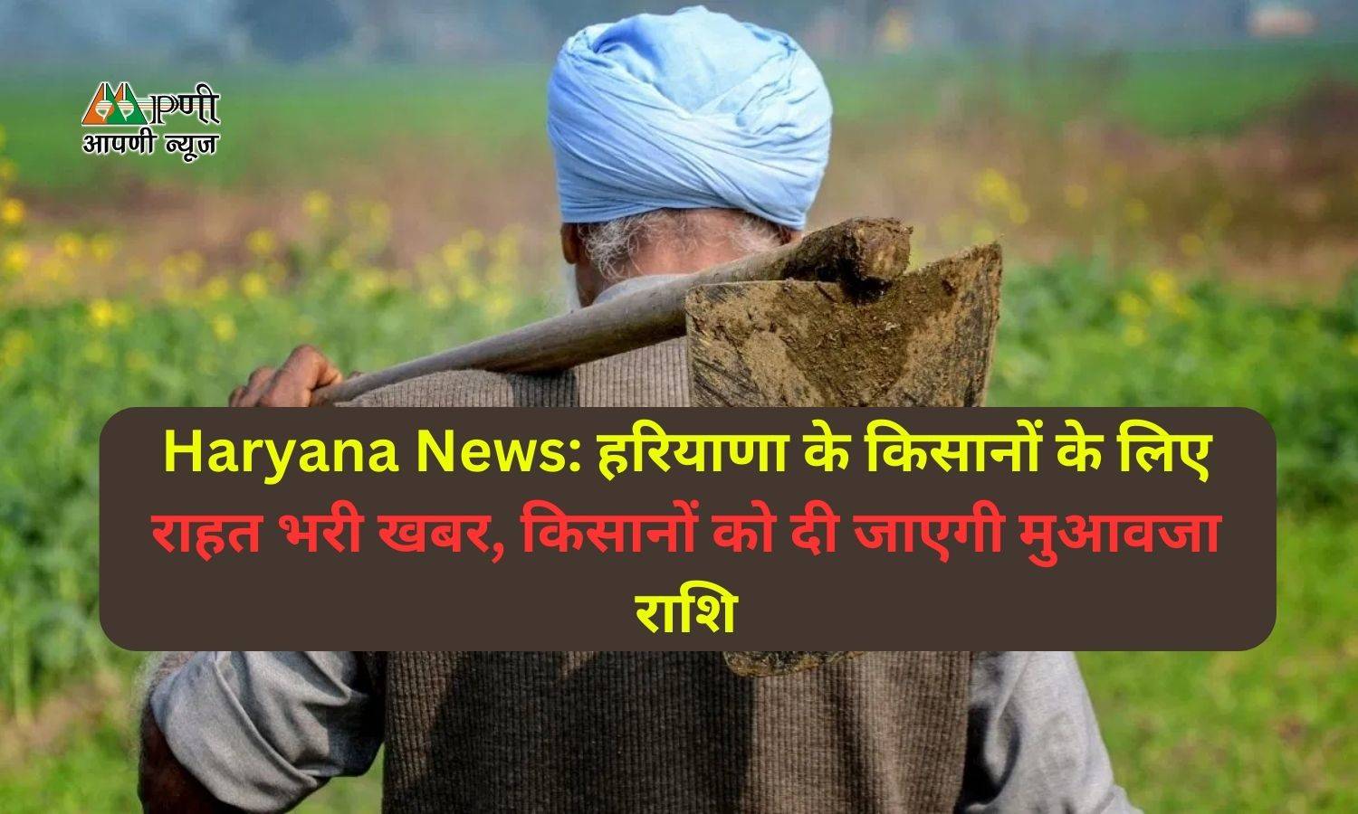 Haryana News: हरियाणा के किसानों के लिए राहत भरी खबर, किसानों को दी जाएगी मुआवजा राशि