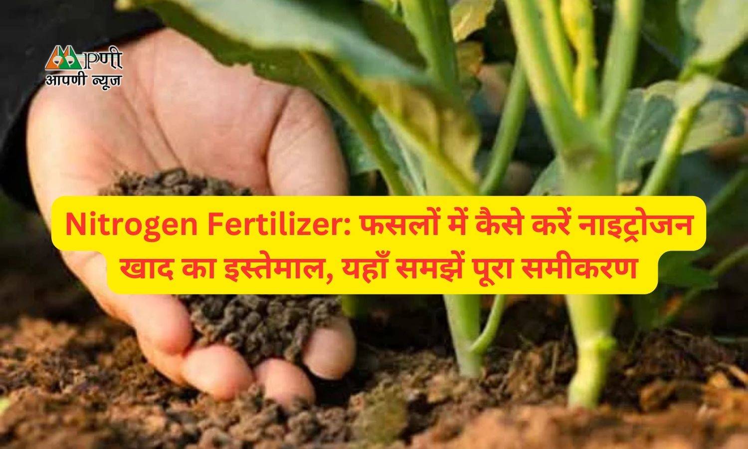 Nitrogen Fertilizer: फसलों में कैसे करें नाइट्रोजन खाद का इस्तेमाल, यहाँ समझें पूरा समीकरण