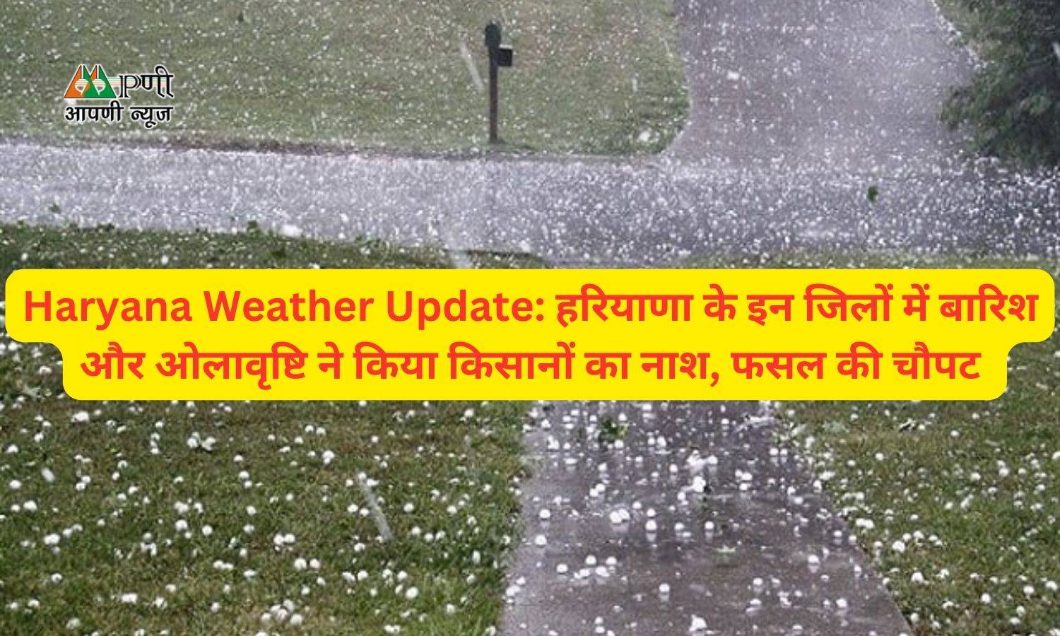 Haryana Weather Update: हरियाणा के इन जिलों में बारिश और ओलावृष्टि ने किया किसानों का नाश, फसल की चौपट