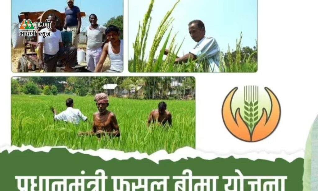 Fasal Bima Yojana: इस तारीख से पहले किसान करा लें फसलों का बीमा, नहीं तो बढ़ सकती है परेशानी