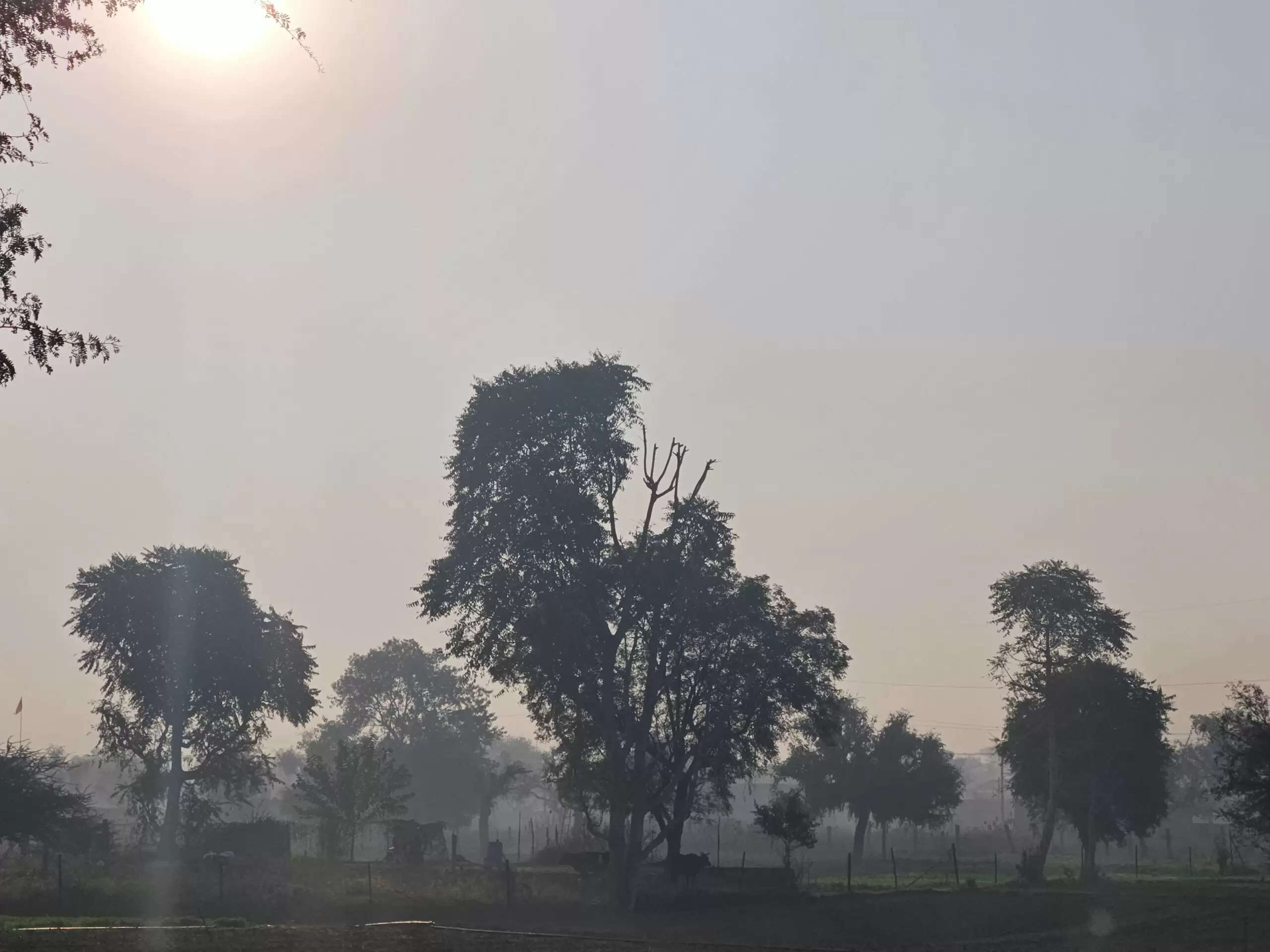 Weather Update: आगामी 5 दिसंबर तक हरियाणा में रहेंगे आंशिक बादल