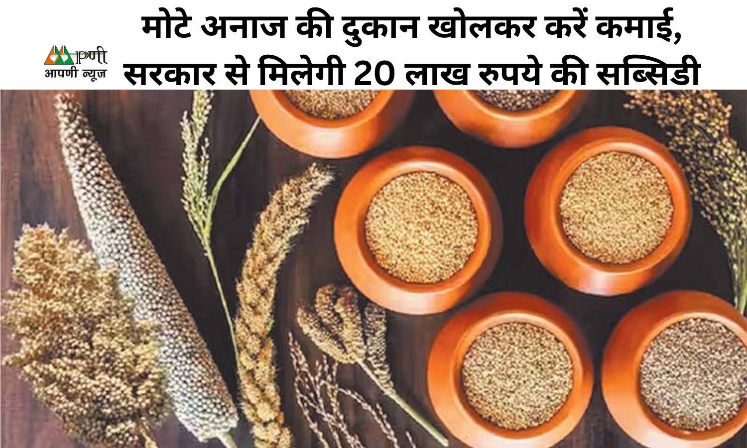 Millets Store: मोटे अनाज की दुकान खोलकर करें कमाई, सरकार से मिलेगी 20 लाख रुपये की सब्सिडी