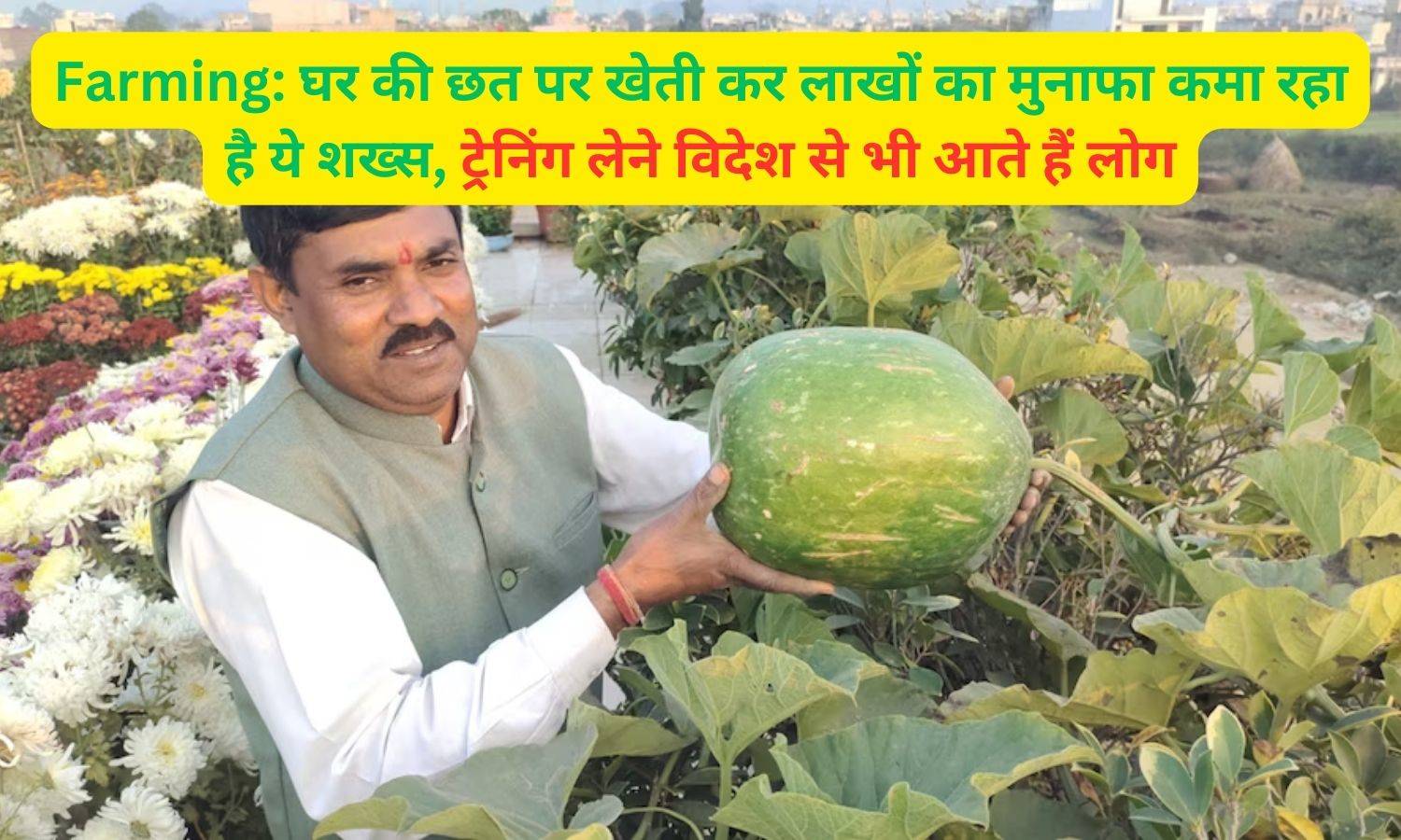 Farming: घर की छत पर खेती कर लाखों का मुनाफा कमा रहा है ये शख्स, ट्रेनिंग लेने विदेश से भी आते हैं लोग