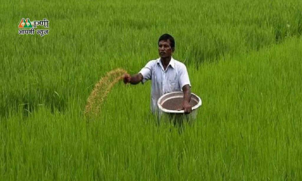 Advisory for Farmers: गेहूं की खेती करने वाले किसानों को  PUSA ने दी खास जानकारी, जल्द से जल्द ये  काम करने की दी सलाह