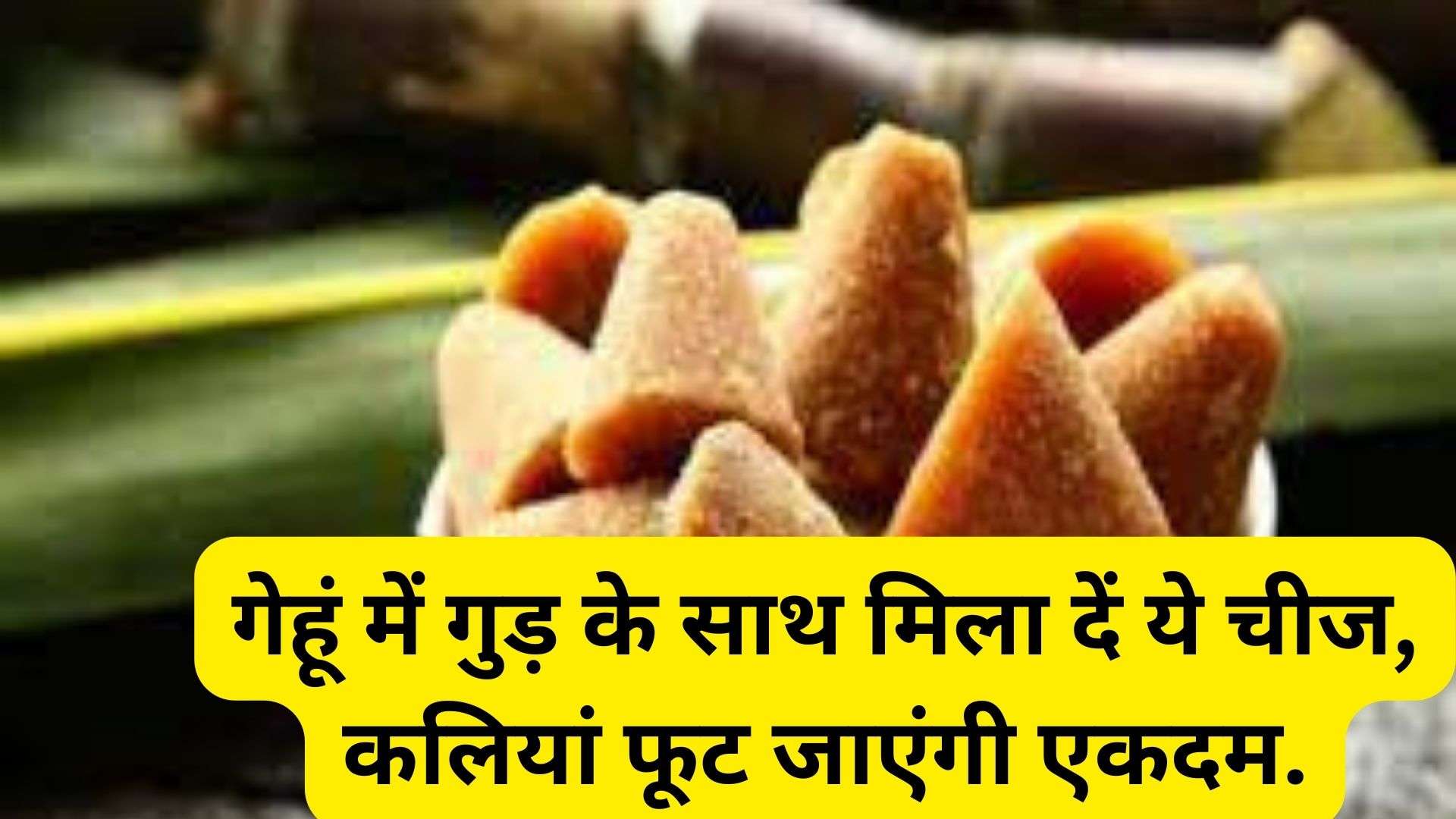 jaggery in wheat: गेहूं में गुड़ के साथ मिला दें ये चीज, कलियां फूट जाएंगी एकदम.