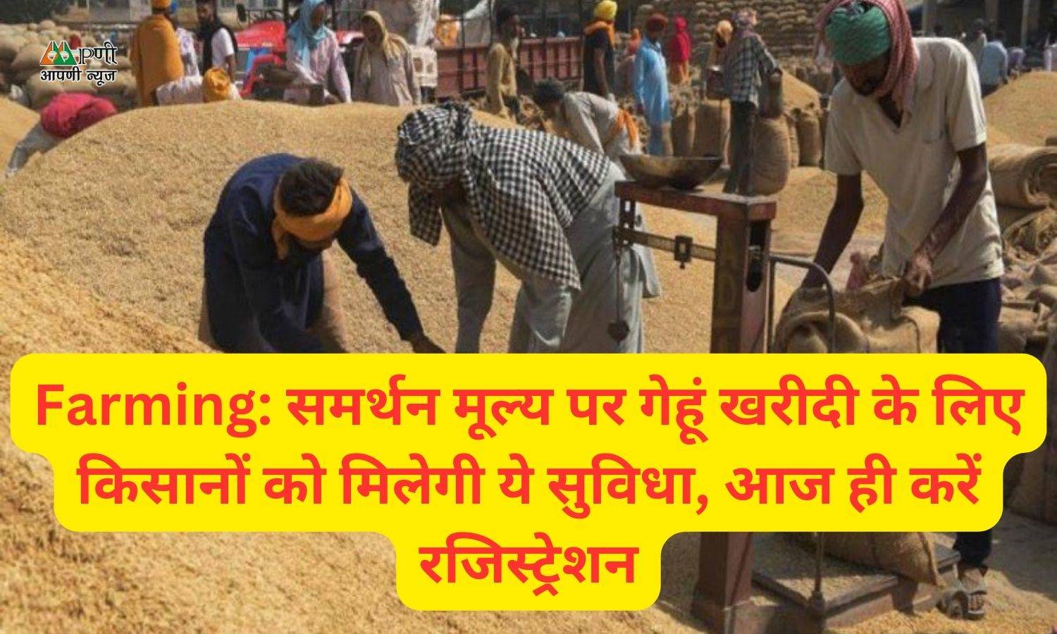 Farming: समर्थन मूल्य पर गेहूं खरीदी के लिए किसानों को मिलेगी ये सुविधा, आज ही करें रजिस्ट्रेशन