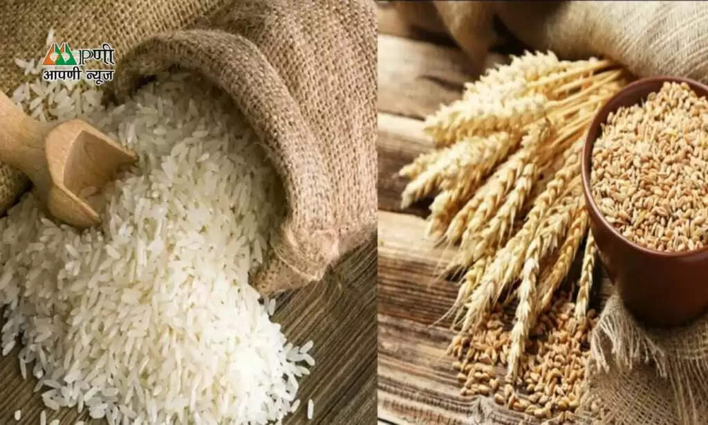 Wheat And Rice Scientists: गेहूं और चावल को लेकर वैज्ञानिकों ने किया डराने वाला खुलासा, जानें गेंहू ओर चावल खाना कितना सही