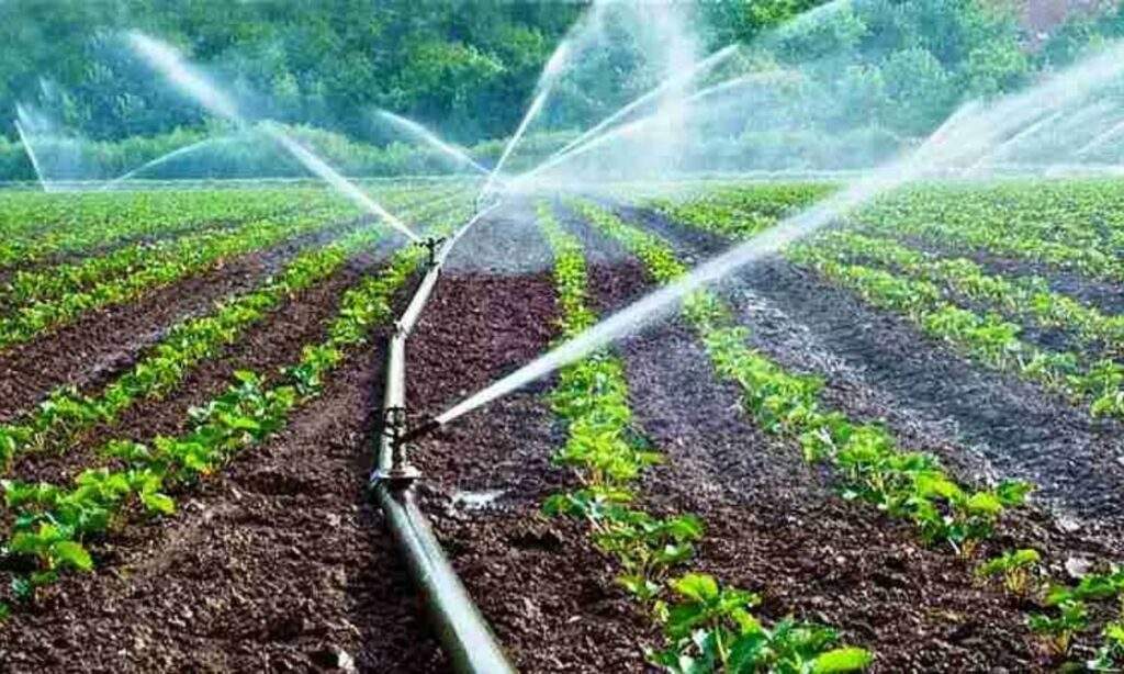 PM Agricultural Irrigation Scheme: PM कृषि सिंचाई योजना से बदली किसानों की सूरत, आप भी उठाए इस योजना का लाभ ओर बदले अपनी किस्मत