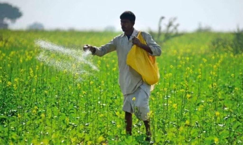 Fertilizer Second Irrigation Mustard: सरसों में दूसरा पानी देते समय डालें ये दमदार खाद, मिलेगी 1 से 2 क्विंटल अधिक पैदावार