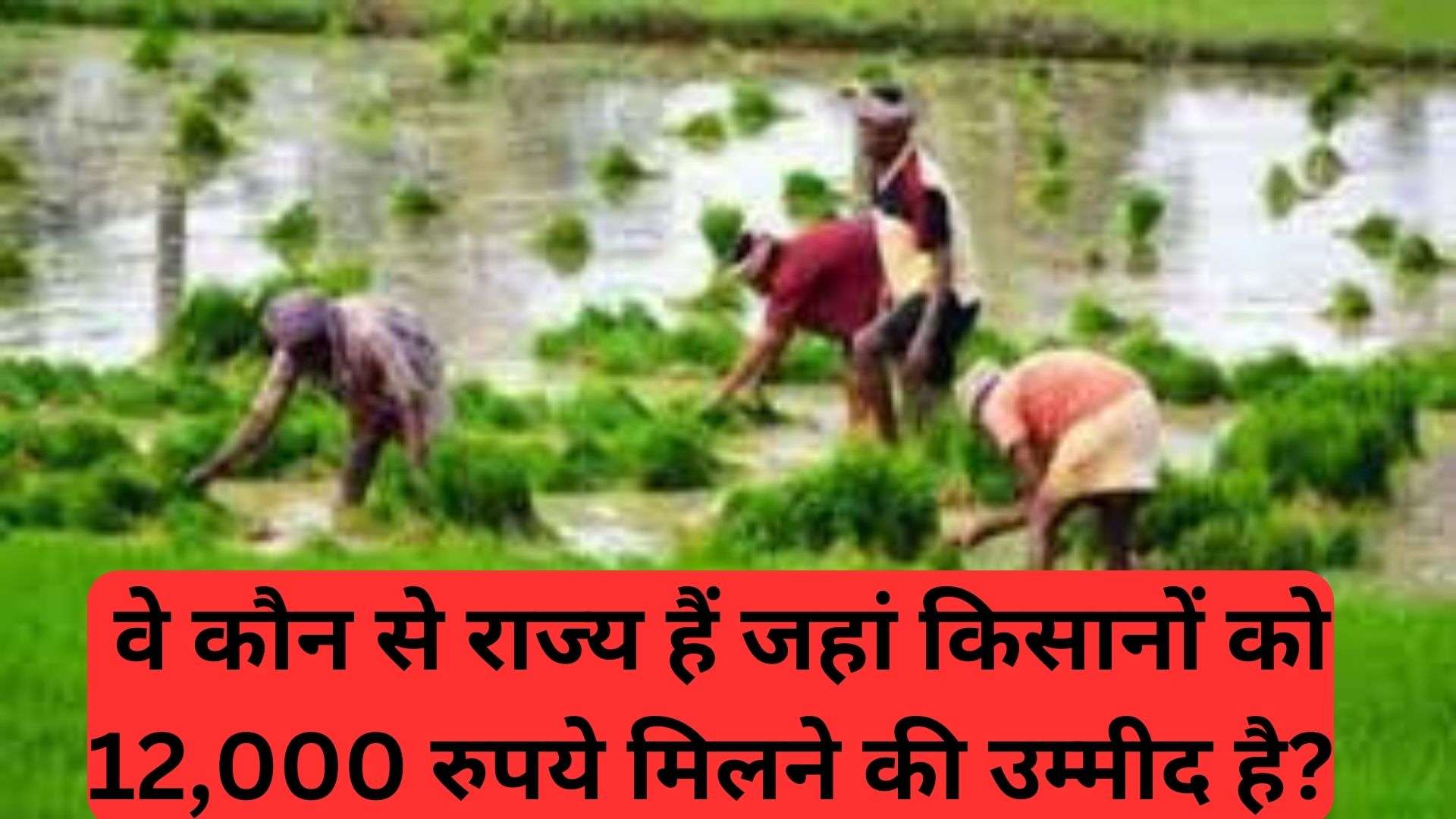 pm kisaan yojana: वे कौन से राज्य हैं जहां किसानों को 12,000 रुपये मिलने की उम्मीद है?