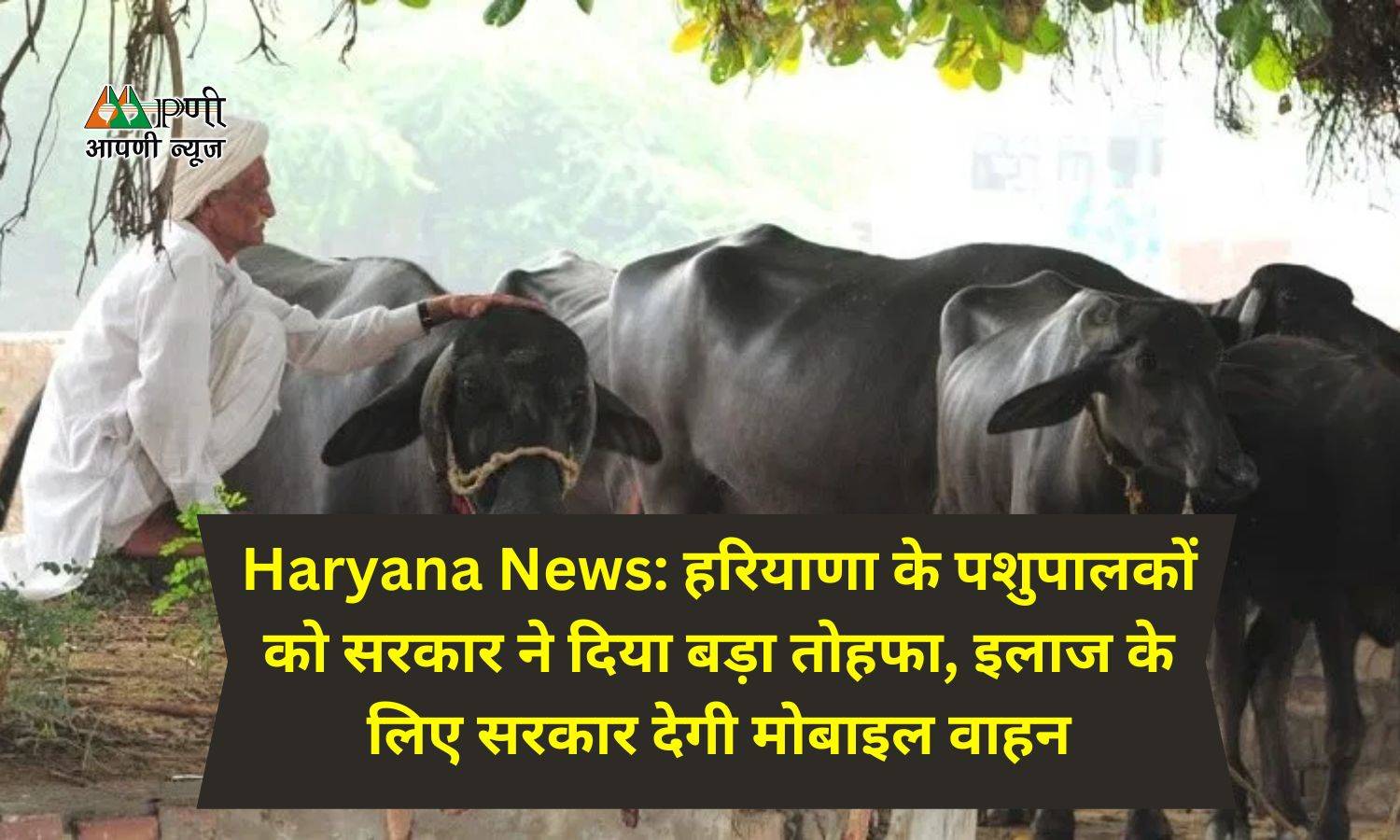 Haryana News: हरियाणा के पशुपालकों को सरकार ने दिया बड़ा तोहफा, इलाज के लिए सरकार देगी मोबाइल वाहन