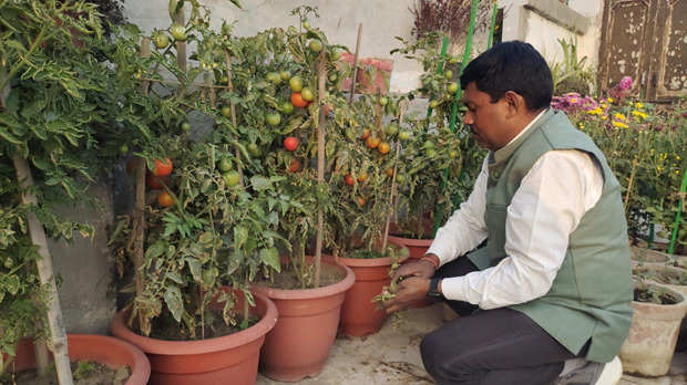 Farming: घर की छत पर खेती कर लाखों का मुनाफा कमा रहा है ये शख्स, ट्रेनिंग लेने विदेश से भी आते हैं लोग