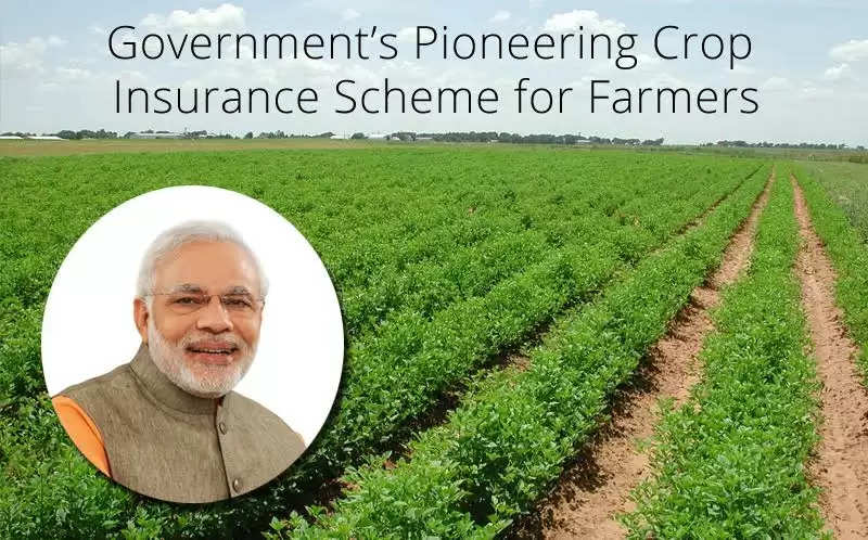 PM Crop Insurance Scheme: फसल बीमा योजना का लाभ कैसे मिलेगा? इस तरह आपको 50 फीसदी सब्सिडी मिलेगी