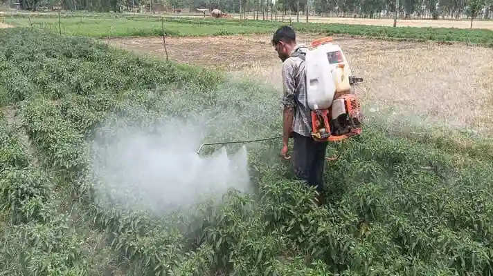 Farming: किसानों के लिए खुशखबरी! फसलों को कीटों से बचाने के लिए मिलेगी सब्सिडी, यहां पर कर सकते हैं आवेदन