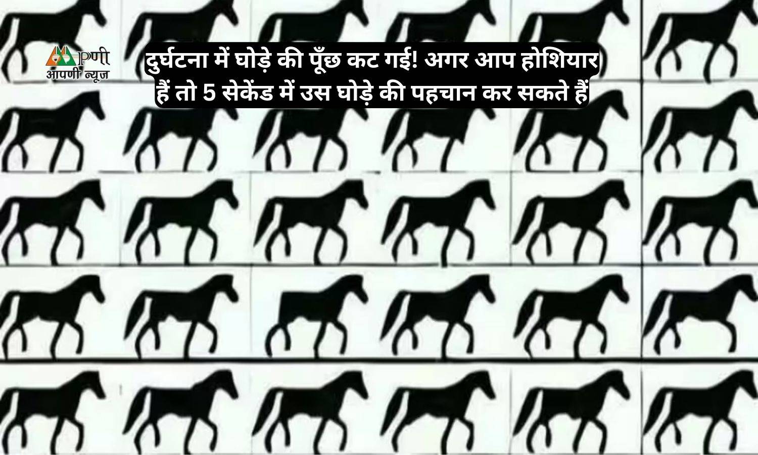 Optical Illusion: दुर्घटना में घोड़े की पूँछ कट गई! अगर आप होशियार हैं तो 5 सेकेंड में उस घोड़े की पहचान कर सकते हैं