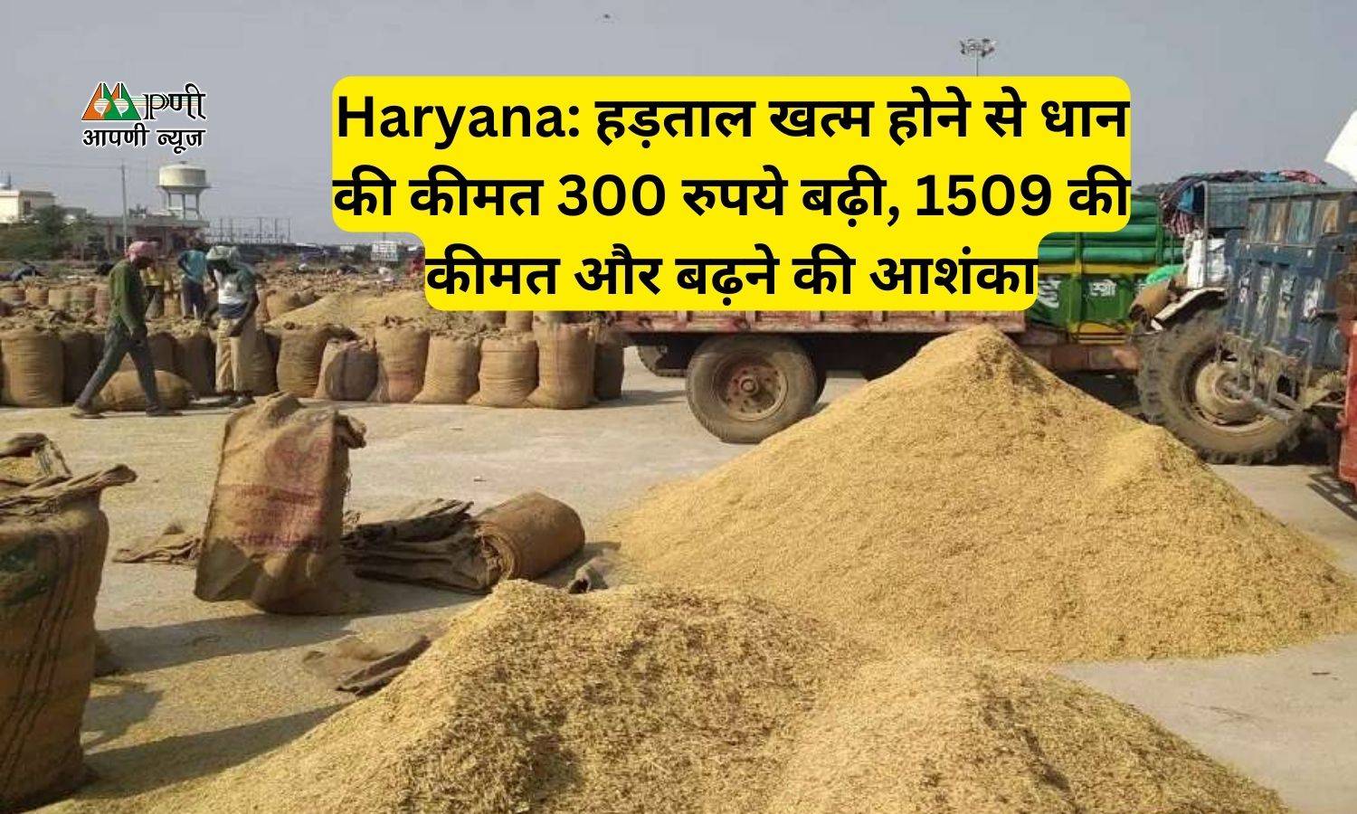 Haryana: हड़ताल खत्म होने से धान की कीमत 300 रुपये बढ़ी, 1509 की कीमत और बढ़ने की आशंका