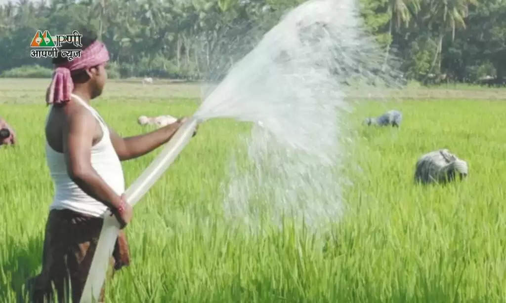 Advisory for Farmers: गेहूं की खेती करने वाले किसानों को  PUSA ने दी खास जानकारी, जल्द से जल्द ये  काम करने की दी सलाह