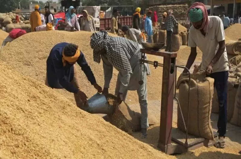 Farming: समर्थन मूल्य पर गेहूं खरीदी के लिए किसानों को मिलेगी ये सुविधा, आज ही करें रजिस्ट्रेशन