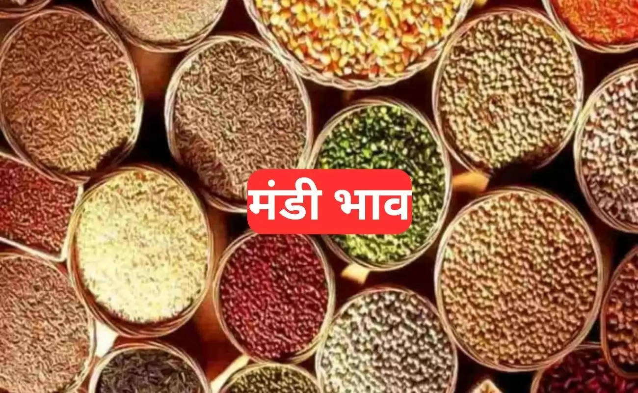 Mandi Bhav 5 December 2023: गेहूं, सरसों, नरमा, ग्वार व धान सहित अन्य फसलों के ताजा भाव देखें