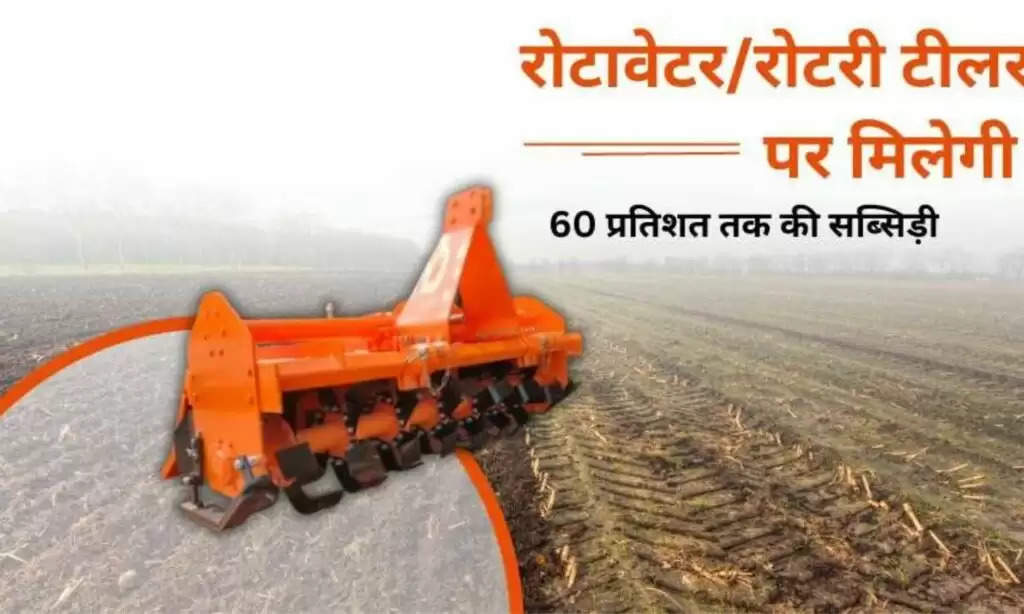 Rotavator Potato Sowing Machines: सरकार की तरफ से हरियाणा के किसानों के लिए बड़ा ऐलान, इन चीजों पर दी भारी सब्सिडी