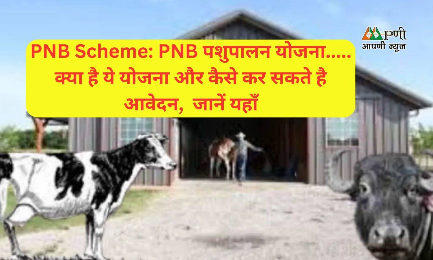 PNB Scheme: PNB पशुपालन योजना..... क्या है ये योजना और कैसे कर सकते है  आवेदन,  जानें यहाँ