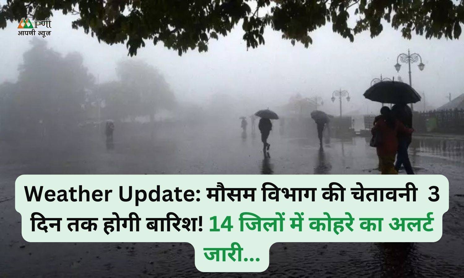 Weather Update: मौसम विभाग की चेतावनी  3 दिन तक होगी बारिश! 14 जिलों में कोहरे का अलर्ट जारी...