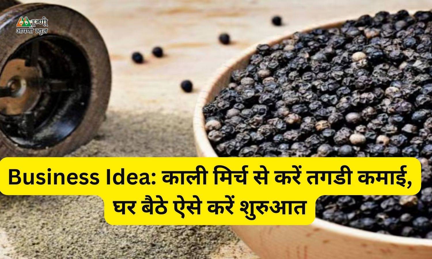 Business Idea: काली मिर्च से करें तगडी कमाई, घर बैठे ऐसे करें शुरुआत