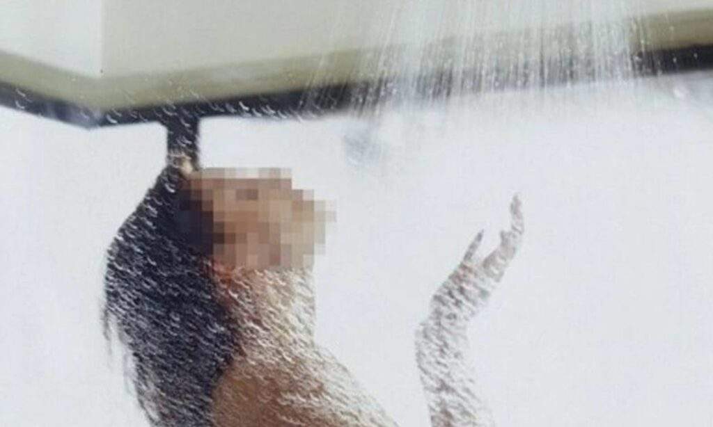Madhya Pradesh Crime: होटल के बाथरूम में नहा रही महिला का वेटर ने चोरी छुपे बनाया वीडियो,  फिर जो हुआ......