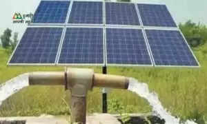 Good News For Haryana Farmer: हरियाणा सरकार ने किसानों को दी खुशखबरी, सौर ऊर्जा पंप पर की 75% की भारी सब्सिडी