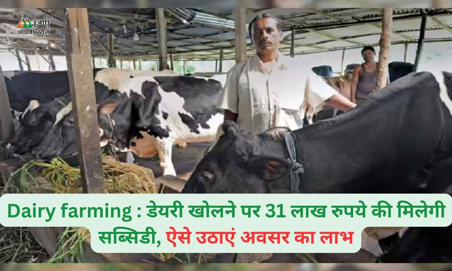 Dairy farming : डेयरी खोलने पर 31 लाख रुपये की मिलेगी सब्सिडी, ऐसे उठाएं अवसर का लाभ