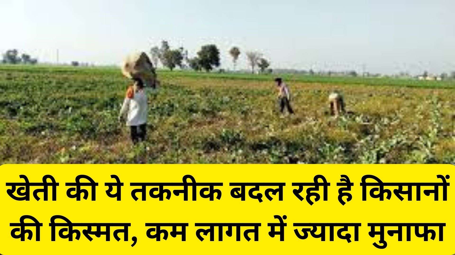 Integrated Farming:  खेती की ये तकनीक बदल रही है किसानों की किस्मत, कम लागत में ज्यादा मुनाफा!