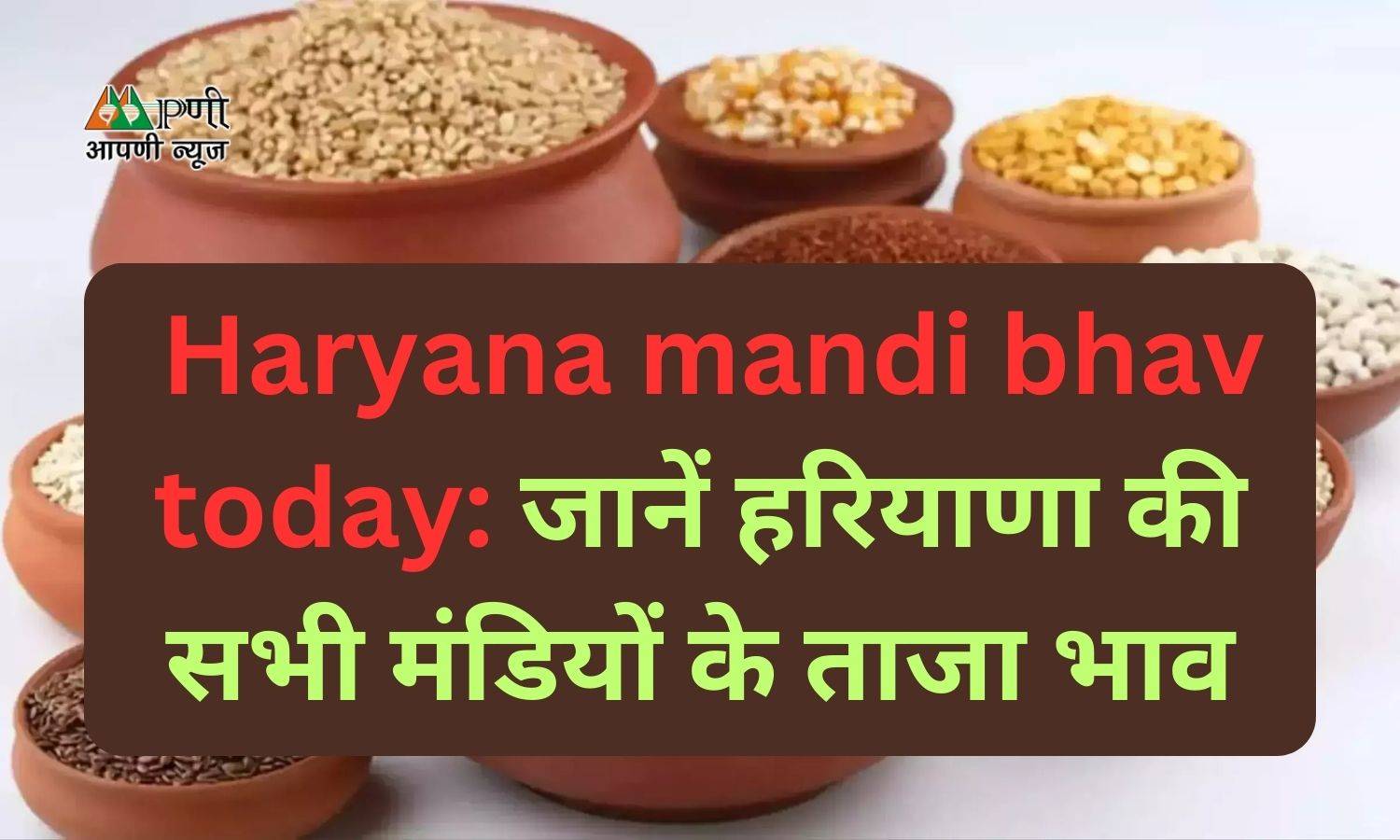 Haryana mandi bhav today: जानें हरियाणा की सभी मंडियों के ताजा भाव