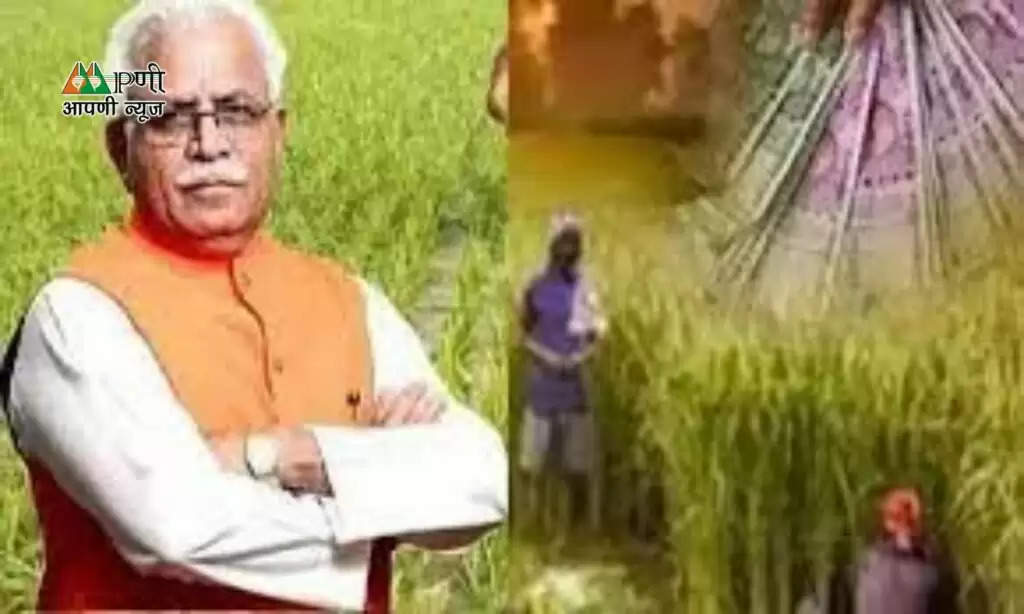 Haryana News: हरियाणा के किसानों के लिए राहत भरी खबर, किसानों को दी जाएगी मुआवजा राशि