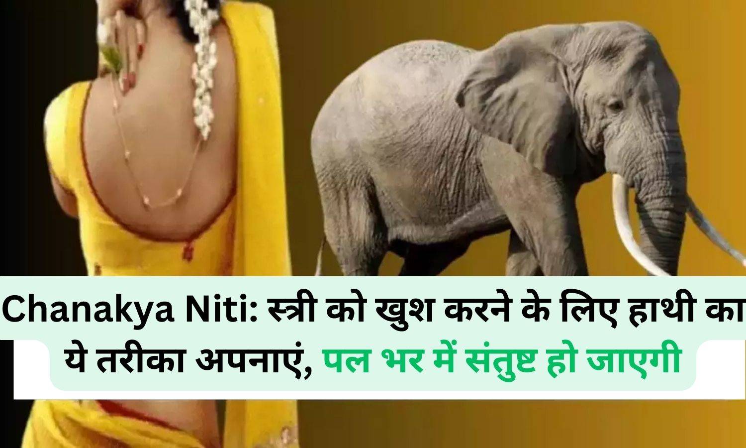 Chanakya Niti: स्त्री को खुश करने के लिए हाथी का ये तरीका अपनाएं, पल भर में संतुष्ट हो जाएगी