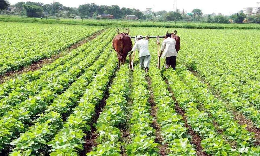 Farmer Enterprise Award: किसानों के लिए कृषक सम्मान योजना शुरू, यहां करें आवेदन