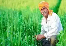 Haryana: हरियाणा सरकार का किसानों के लिए बड़ा ऐलान, खरीफ फसल पर प्रति एकड़ ₹2000 बोनस मिलेगा
