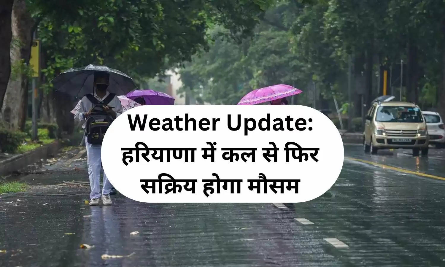 Weather Update: हरियाणा में कल से फिर सक्रिय होगा मौसम, IMD ने जारी किया बारिश का Yello अलर्ट