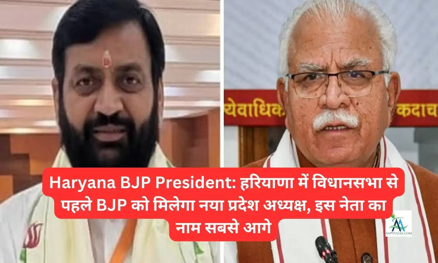 Haryana BJP President: हरियाणा में विधानसभा से पहले BJP को मिलेगा नया प्रदेश अध्यक्ष, इस नेता का नाम सबसे आगे