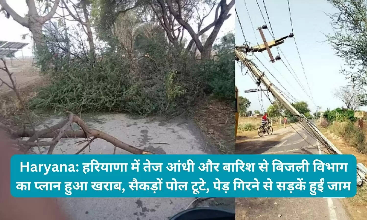 Haryana: हरियाणा में तेज आंधी और बारिश से बिजली विभाग का प्लान हुआ खराब, सैकड़ों पोल टूटे, पेड़ गिरने से सड़कें हुईं जाम
