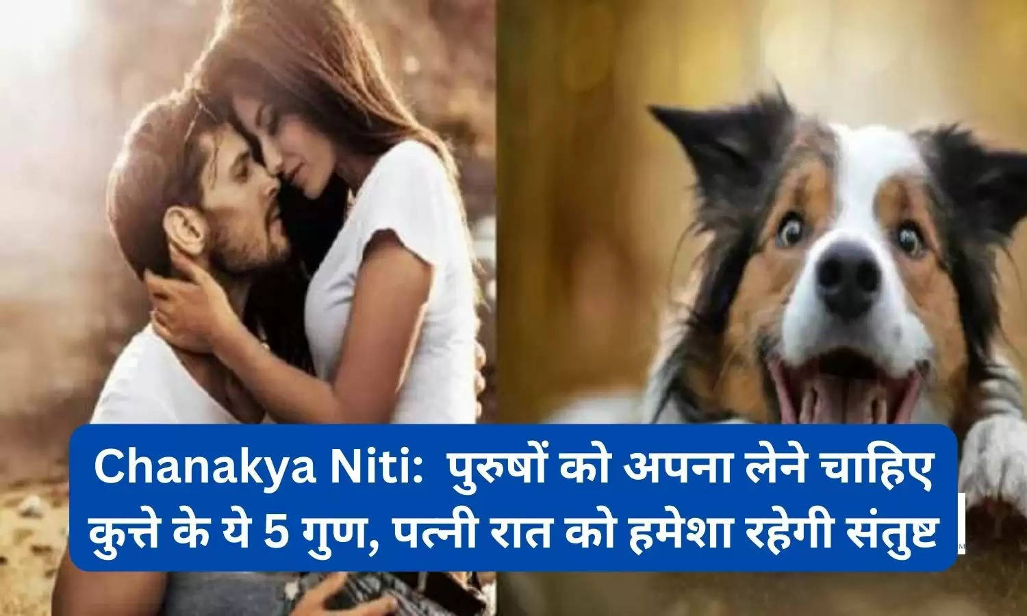 Chanakya Niti:  पुरुषों को अपना लेने चाहिए कुत्ते के ये 5 गुण, पत्नी रात को हमेशा रहेगी संतुष्ट